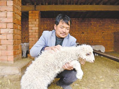 <p>    圈舍里，官占武心疼地抚着小羊羔。合作社与盐池滩羊集团签订了订单收购协议，养殖户增收有保障。</p>